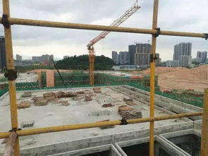 新客廳，新生活 鶴山城市建設(shè)工程施工引領(lǐng)未來社區(qū)新風尚