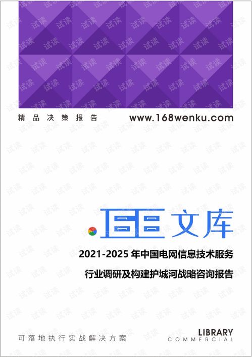 2021-2025年中國(guó)電網(wǎng)信息技術(shù)服務(wù)行業(yè)調(diào)研及構(gòu)建護(hù)城河戰(zhàn)略咨詢(xún)報(bào)告