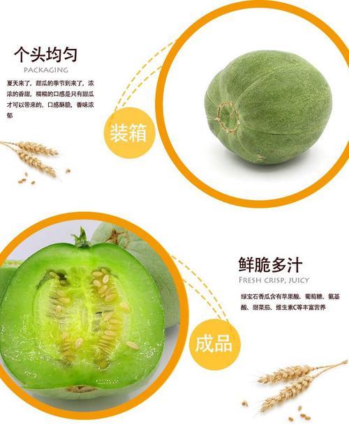 初夏的味道 頭茬綠寶石甜瓜，您舌尖上的新鮮盛宴